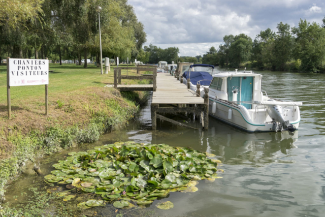 Quais de la Charente à Chaniers (17)