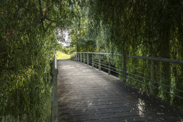 Passerelle sur la Charente à Chaniers (17)