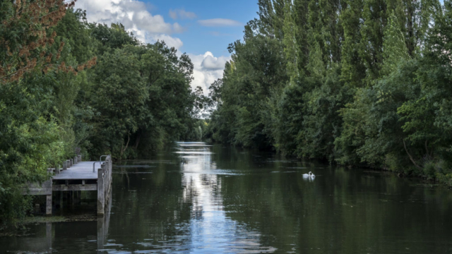 La Charente à Chaniers (17)