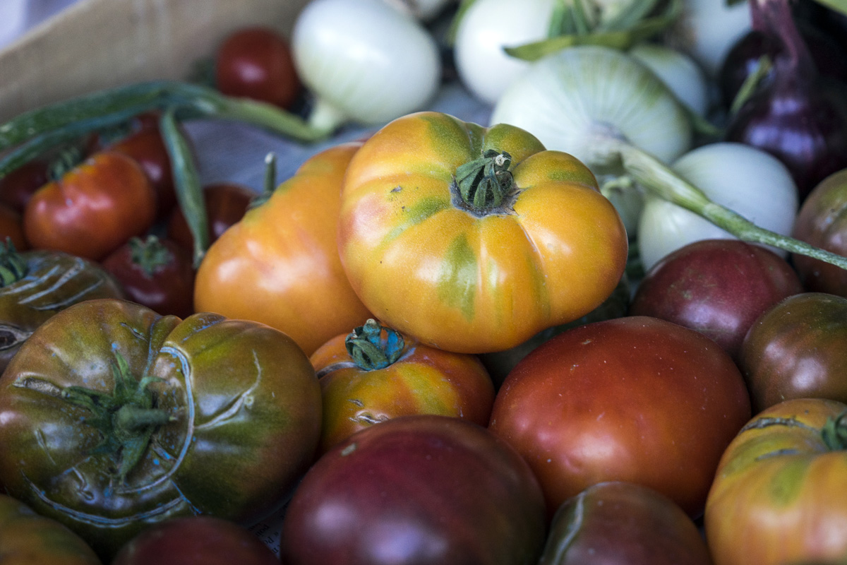 Marché fermier du 20 Juillet 2017 à Chaniers (17)