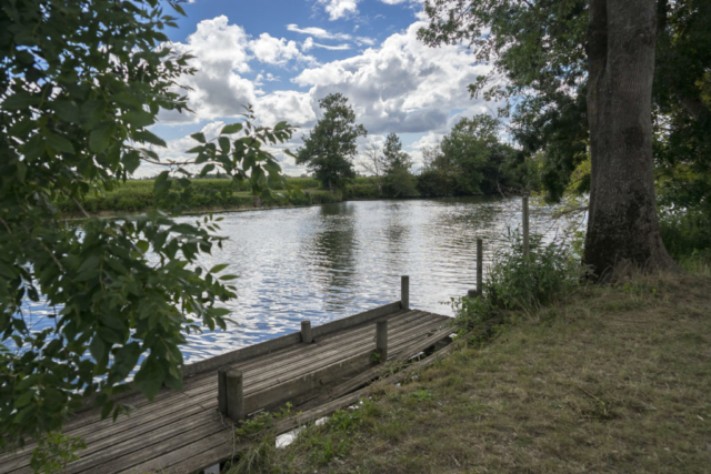 Bords de Charente à Chaniers (17)