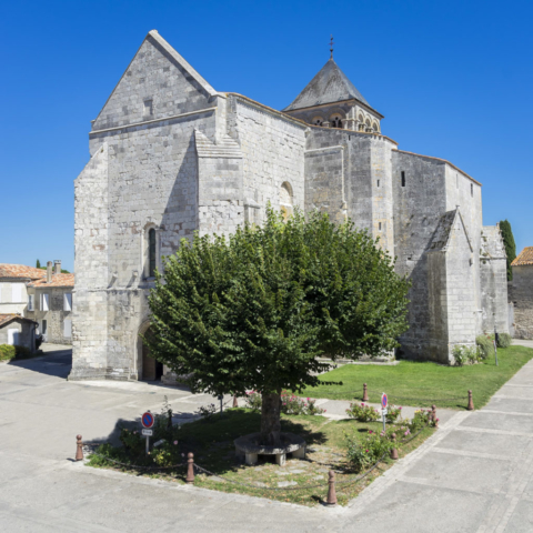 Eglise Saint Pierre à Chaniers (17)