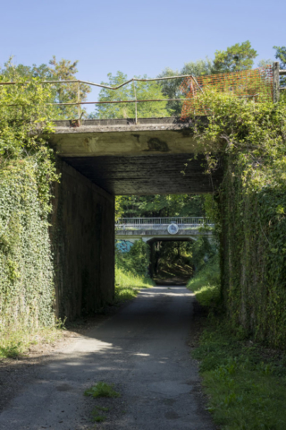 Itinéraire de randonnée à Chaniers (17)