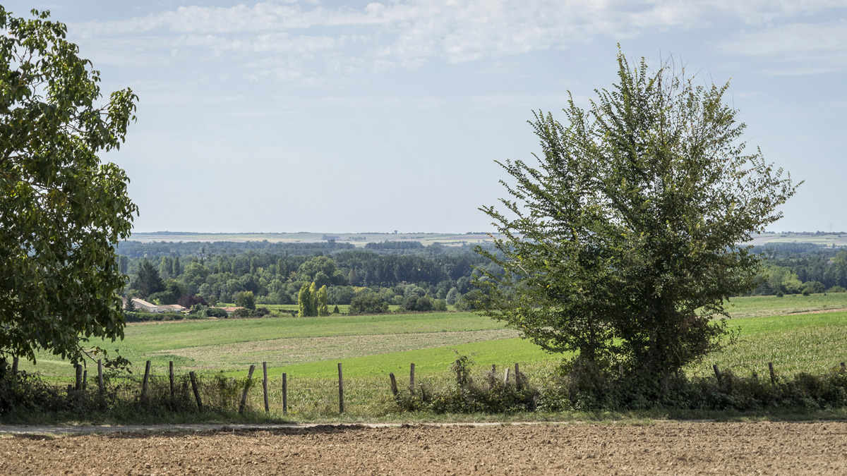 Itinéraire de randonnée à Chaniers (17)