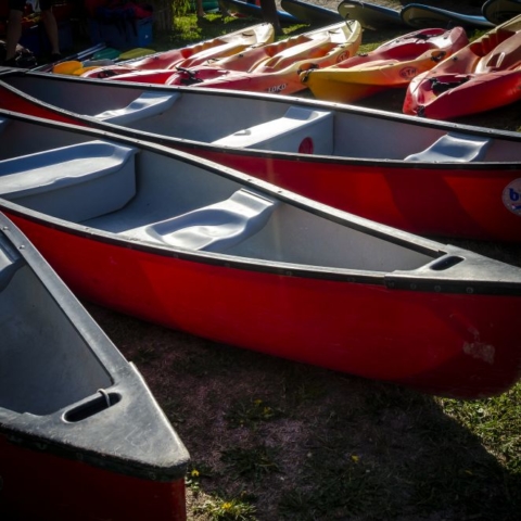 Au fil des bacs 2019