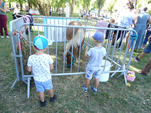 Village des associations 2020