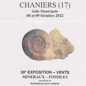 Salon des fossiles et minéraux @ Salle des fêtes