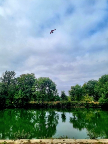 Escapade sur le fleuve Charente 2022