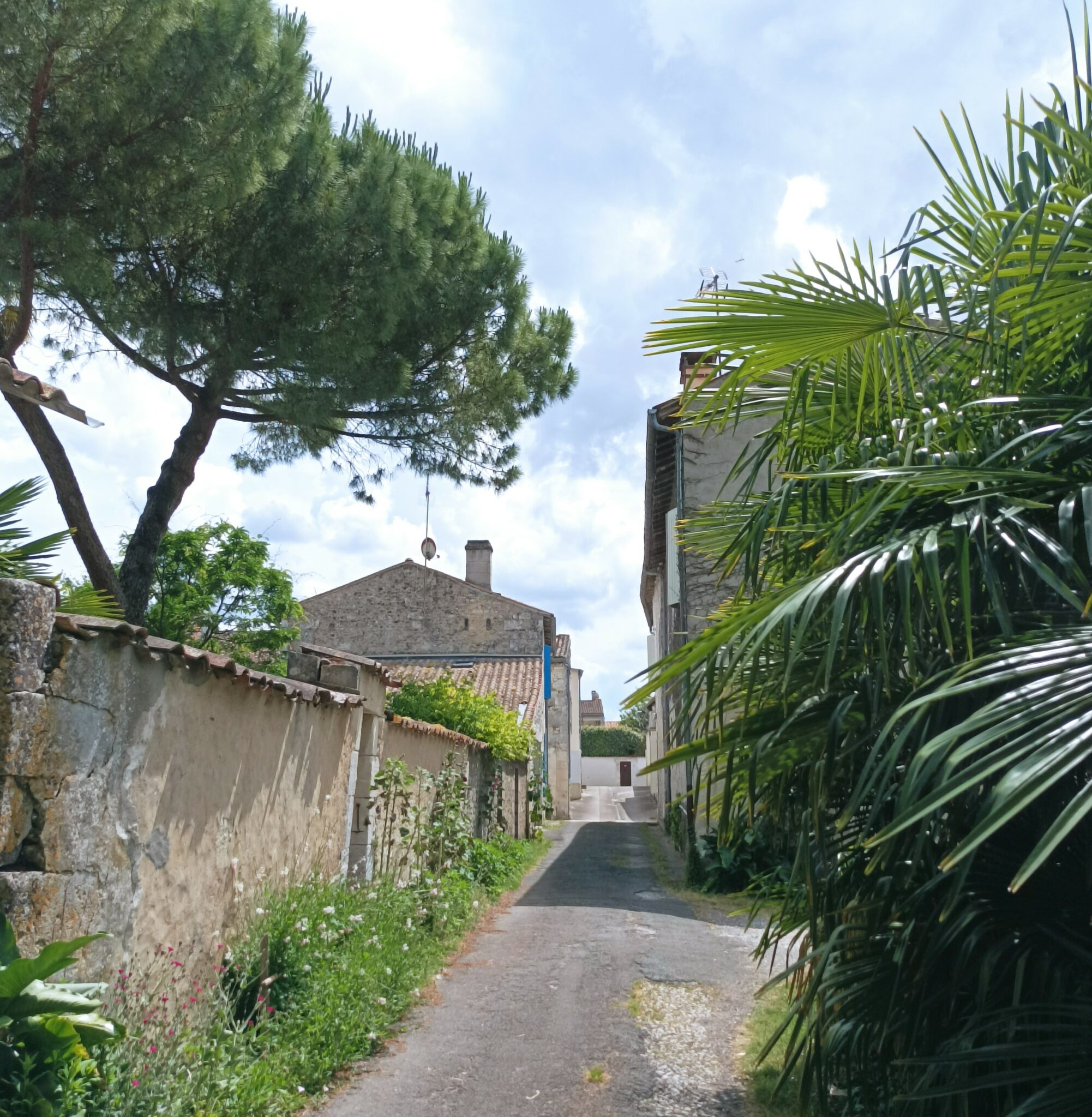 Présentation Chaniers, au bord du fleuve en CharenteMaritime (17)
