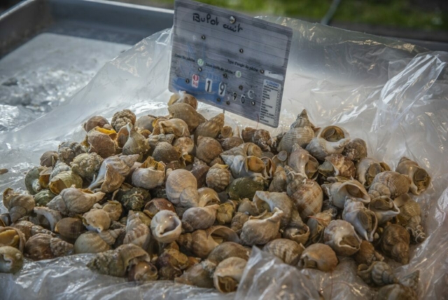 Marché de Chaniers